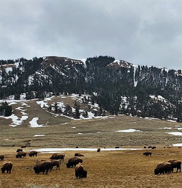 Western USA &nbsp;Vacations